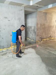 家庭裝修白蟻預(yù)防